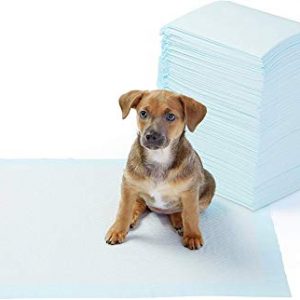 Dog and Puppy Training Pads